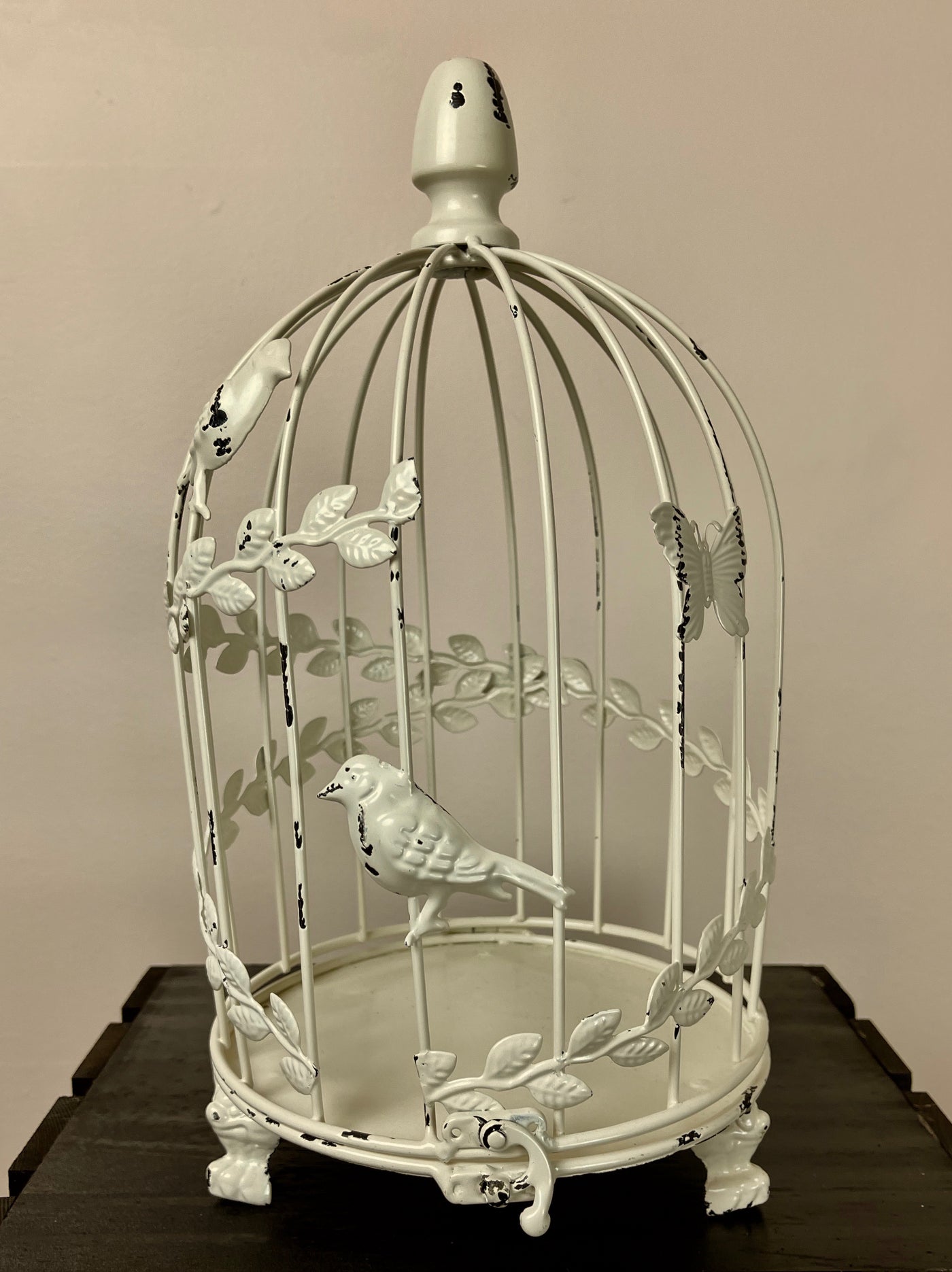 Rent a Rose- 14 inch tall cream distressed birdcage to be used as a decor element. Flowers can be added inside cage