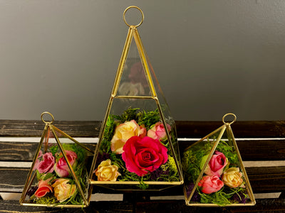 The golden terrarium trio (1 Lrg, 2 Sm) will add dimension to your event with the formal lines of the gold geometrical pyramid, juxtaposed with the soft natural shapes of the moss and florals. These would be great on high top cocktail tables.    Large Pyramid -9.5"tall x 5" wide  Small Pyramid - 5.5" tall x 3" wide